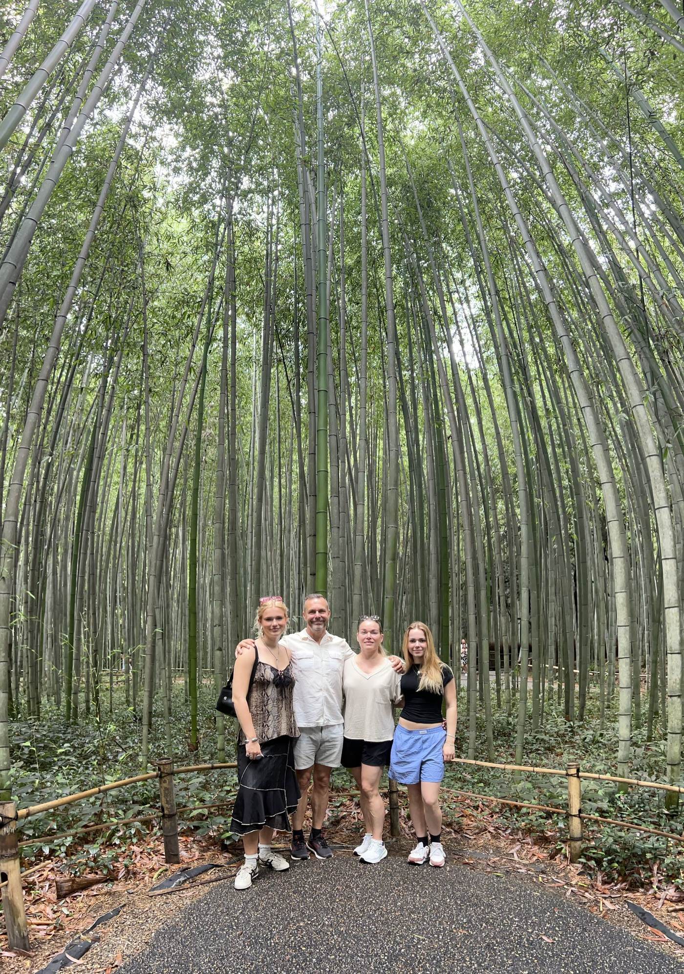 Guests walking through Arashiyama bamboo grove