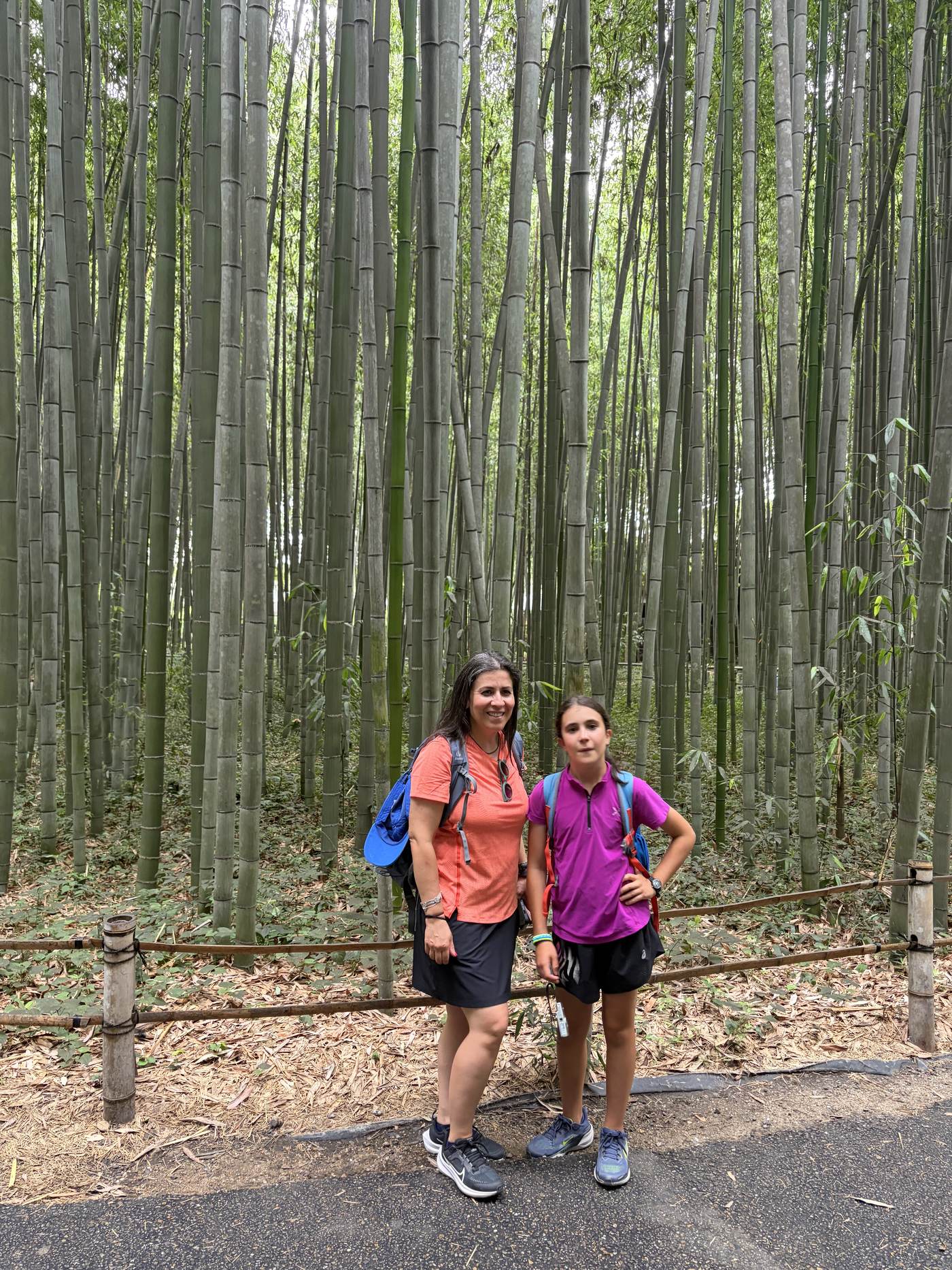 Guests walking through a bamboo grove